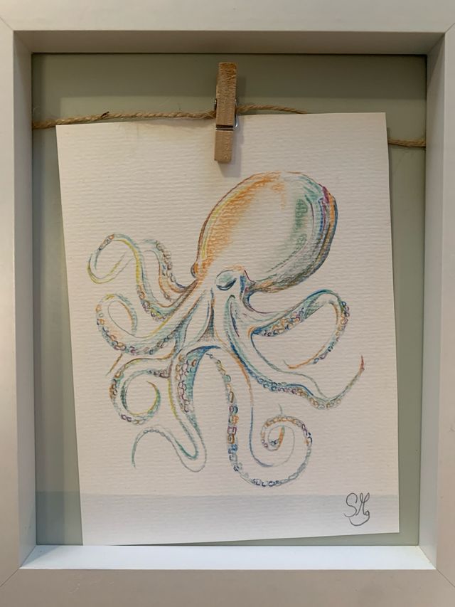 Dibujo Pulpo