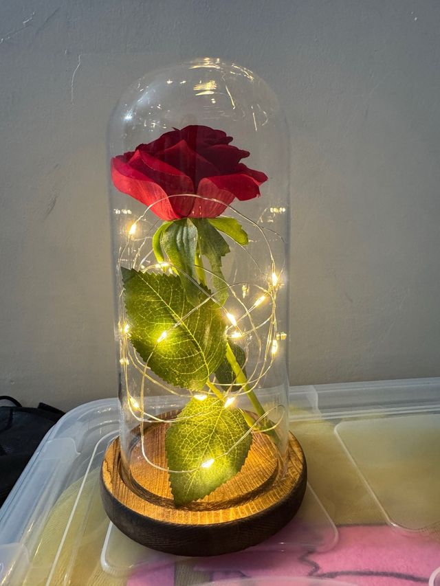 Rosa Bellay Bestia luces