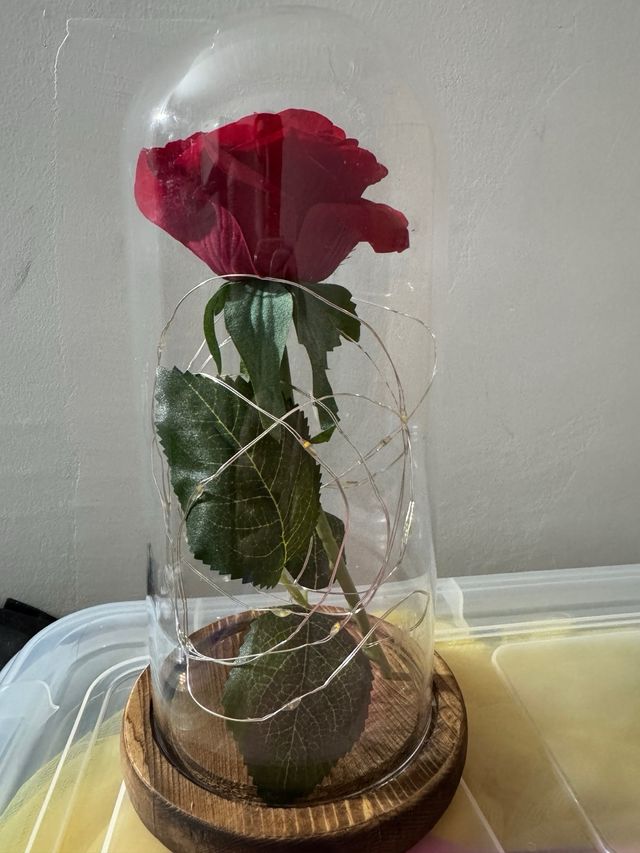 Rosa Bellay Bestia luces