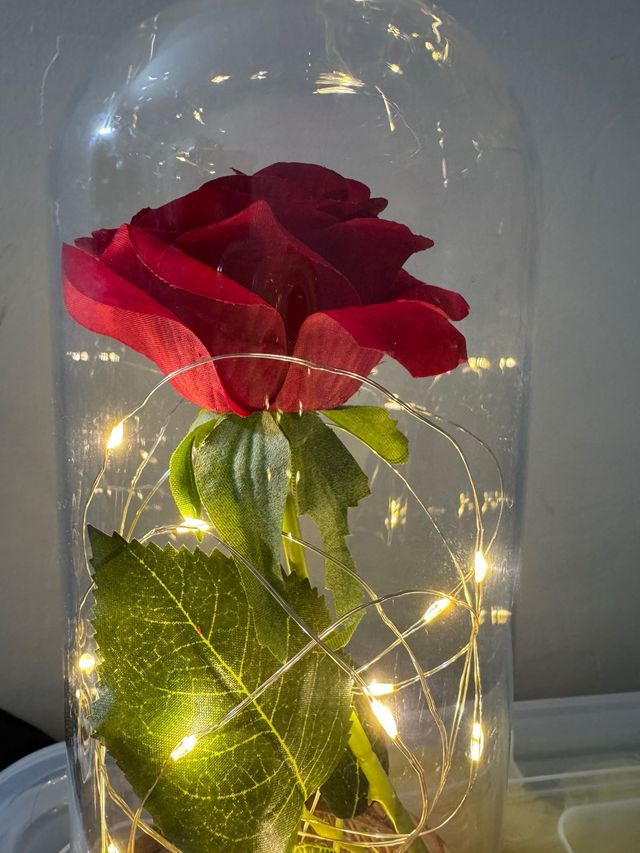 Rosa Bellay Bestia luces