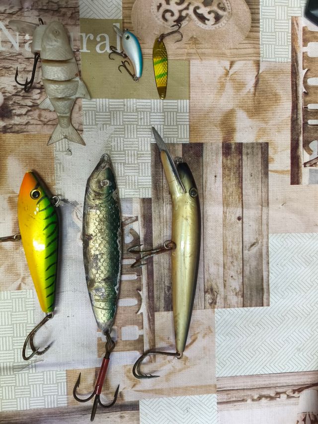 Esche da pesca/campioni