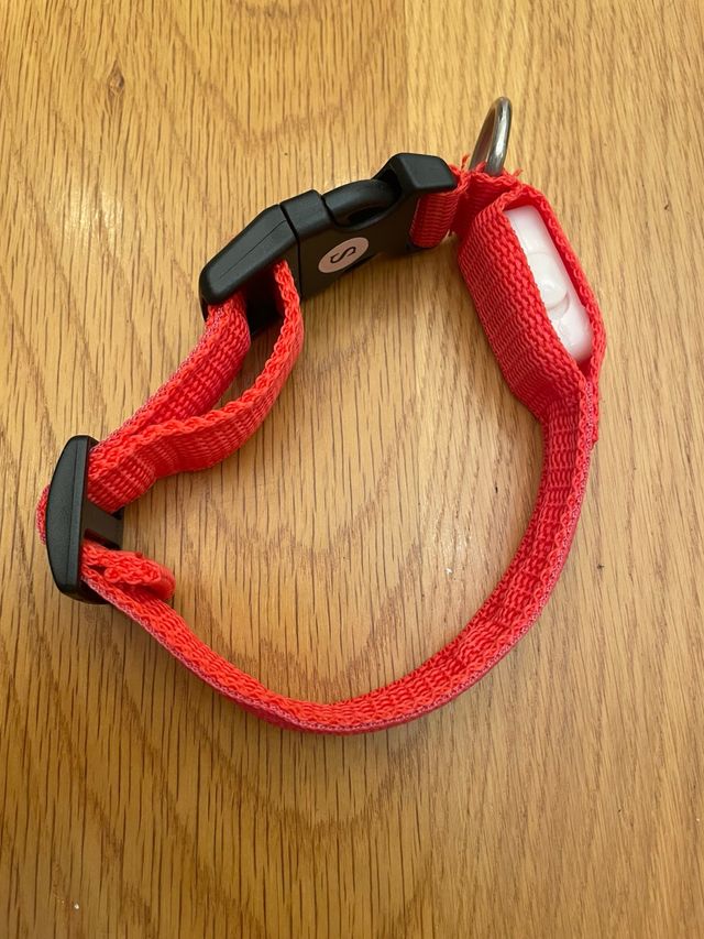 Collar de perro con luz