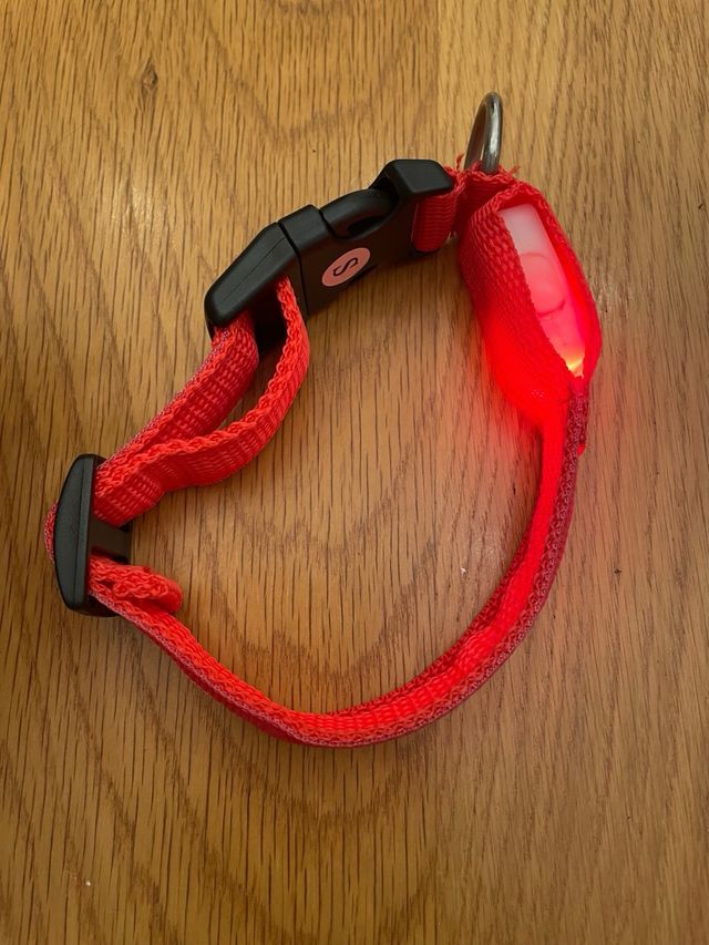 Collar de perro con luz