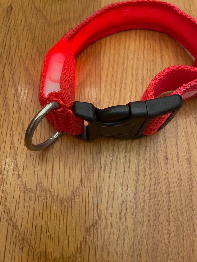 Collar de perro con luz