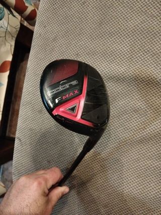 Palo de golf 