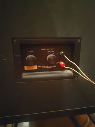 Tocadiscos y Amplificador Vieta