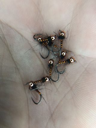 Moscas de pesca - perdigones , ninfas