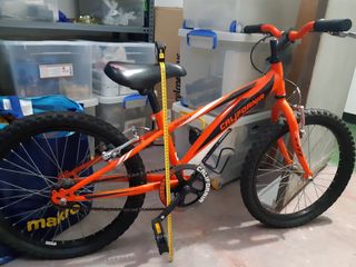 Bicicleta BH California