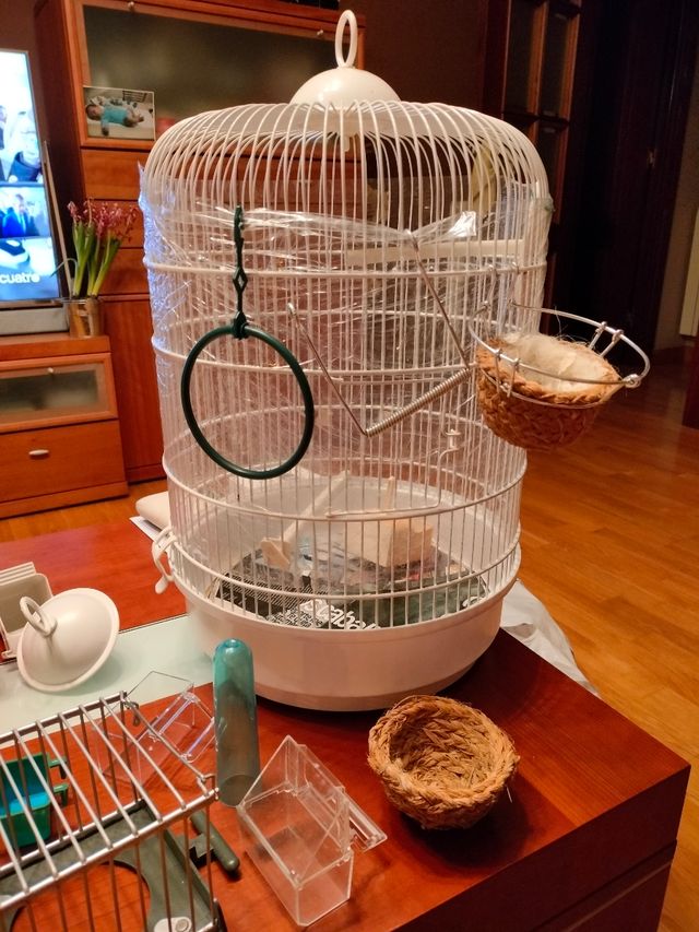 Jaula con accesorios