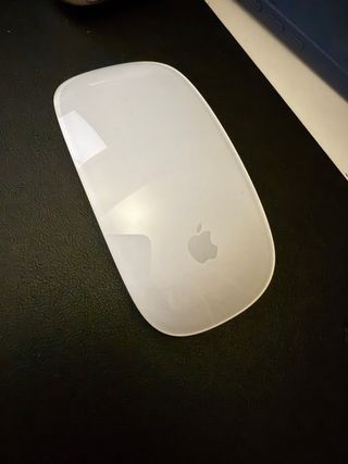 Raton Magic Mouse