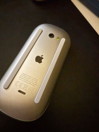 Raton Magic Mouse