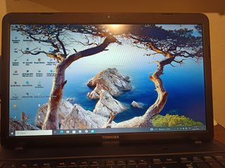 Portátil Toshiba Satélite Pro C870 - 176