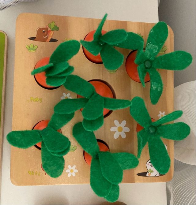 Zanahorias encajable madera