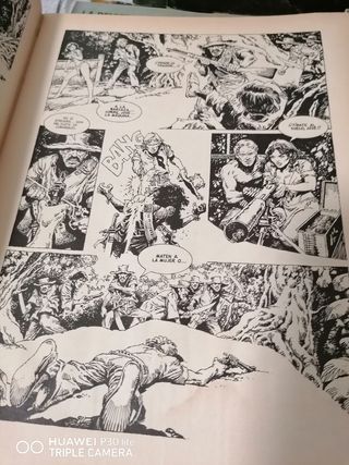 Lote Comics Cimoc