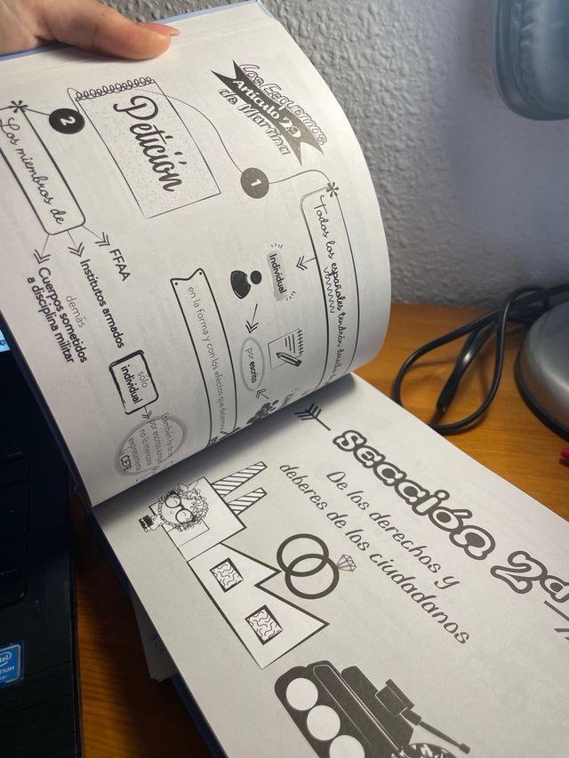 Constitución Española. Los esquemas de Martina