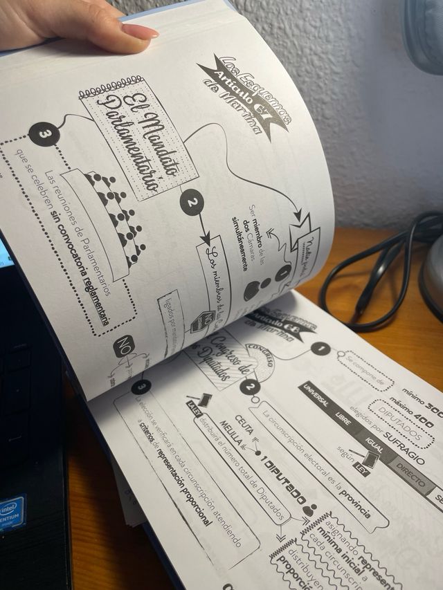 Constitución Española. Los esquemas de Martina