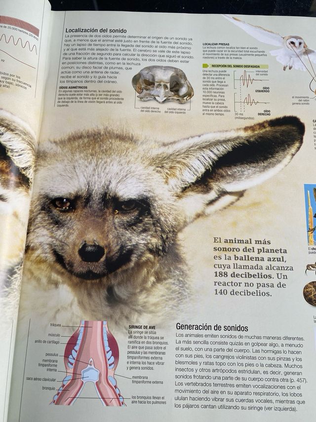 Libro Vida Animal