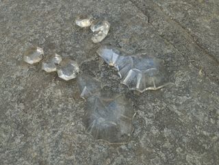 Pendenti in cristallo