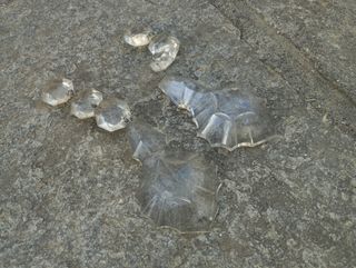 Pendenti in cristallo