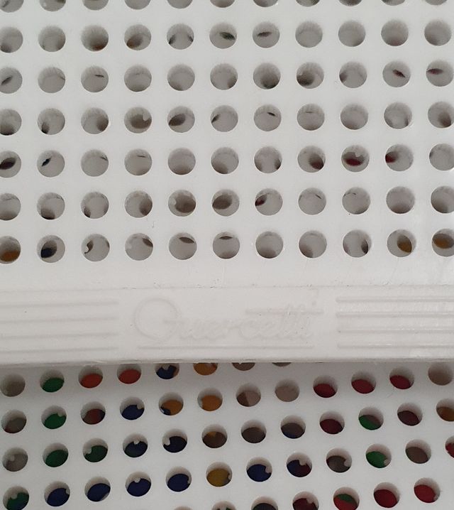 Cassetta contenitore per chiodini