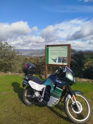 Honda Transalp 600