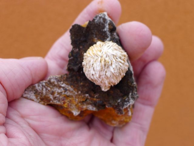 Sfera di barite 6,7 x 5,6 cm, miniera di San Pedro, Lorca