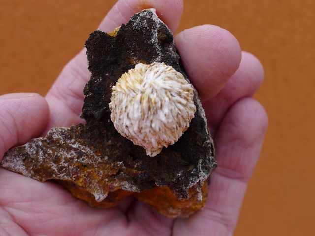 Sfera di barite 6,7 x 5,6 cm, miniera di San Pedro, Lorca