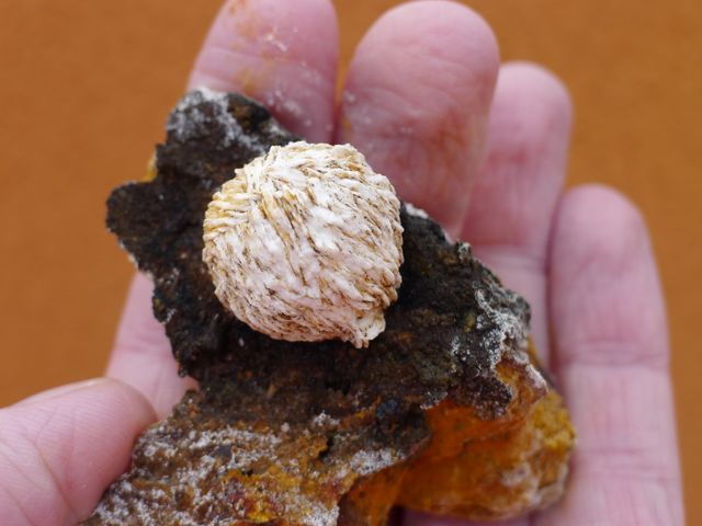 Sfera di barite 6,7 x 5,6 cm, miniera di San Pedro, Lorca