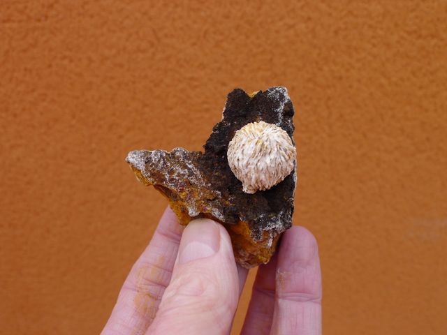 Sfera di barite 6,7 x 5,6 cm, miniera di San Pedro, Lorca