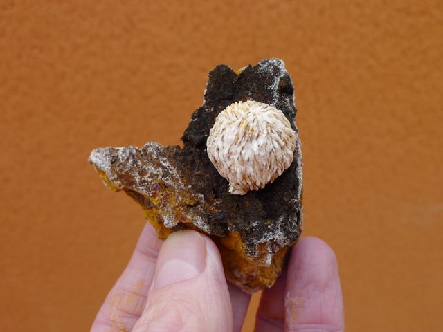Sfera di barite 6,7 x 5,6 cm, miniera di San Pedro, Lorca
