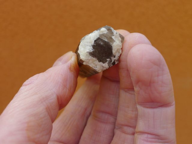 Quarzo fumé* Sils, Massabe, Spagna 7,2 x 1,8 cm