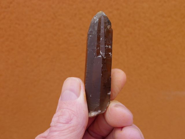 Quarzo fumé* Sils, Massabe, Spagna 7,2 x 1,8 cm