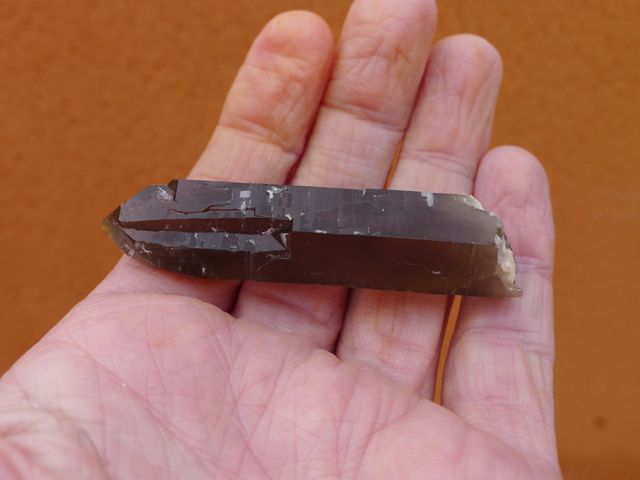 Quarzo fumé* Sils, Massabe, Spagna 7,2 x 1,8 cm