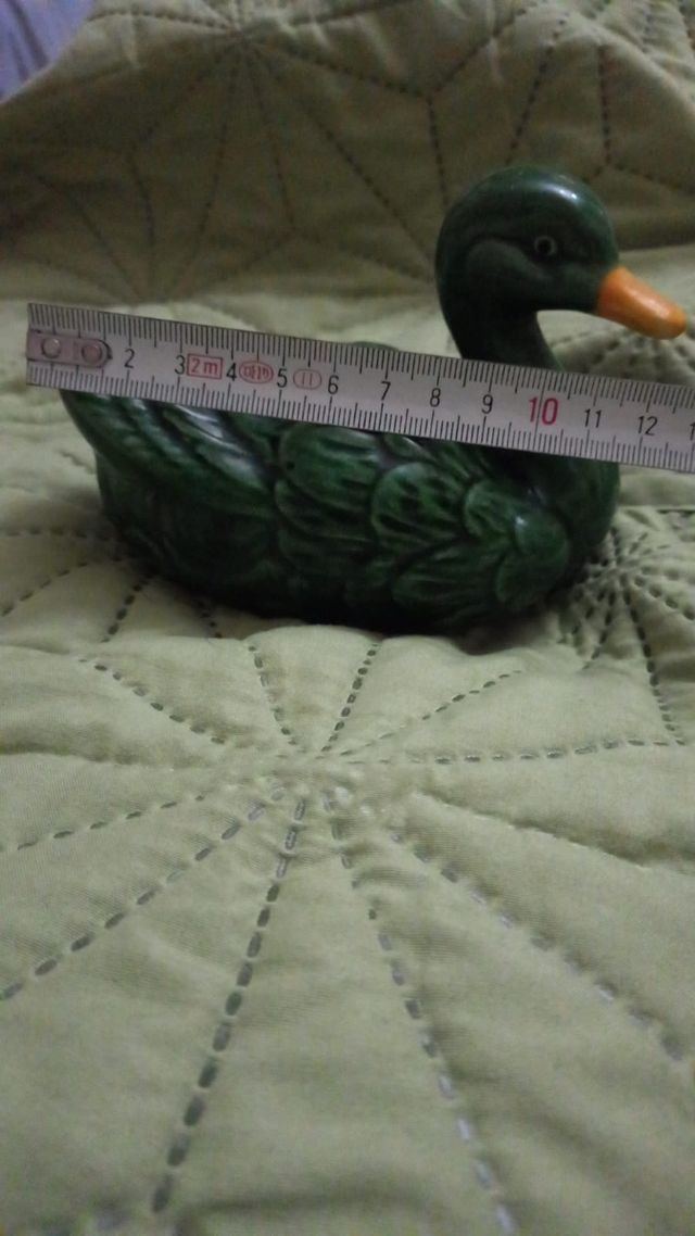 Piggy duck dal Portogallo