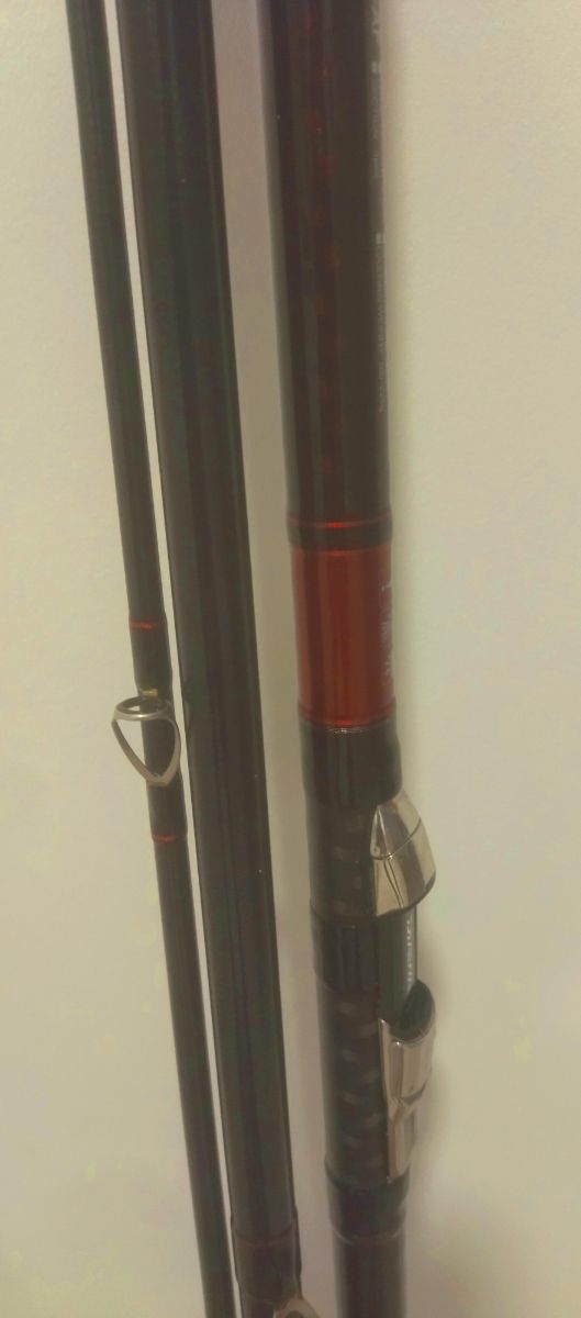 Caña surcasting daiwa