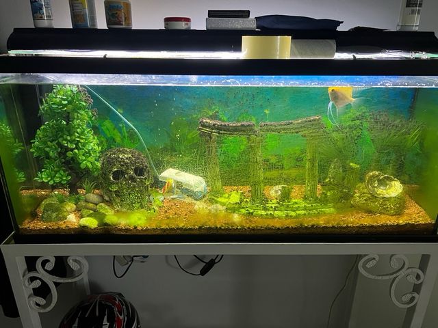 Aquario 140 litros