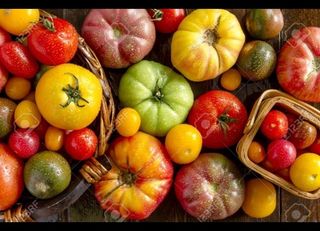 200 semillas de tomate pack
