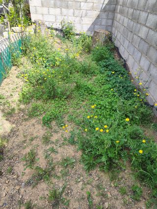 Servicios de jardinería inmediatamente