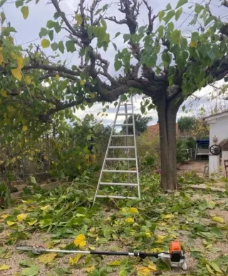 Servicios de jardinería inmediatamente