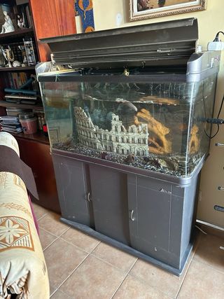 Pecera Super precio 200€