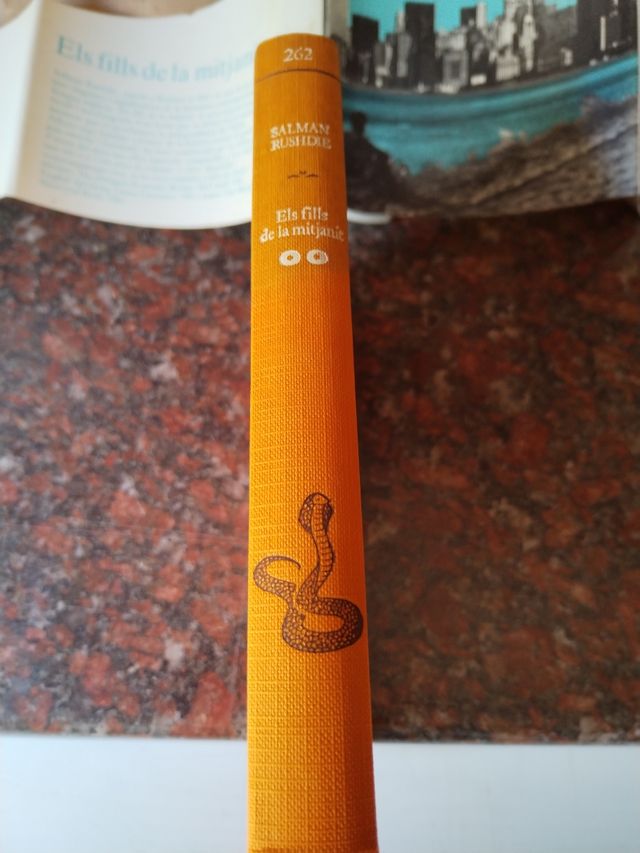 Els fills de la mitjanit