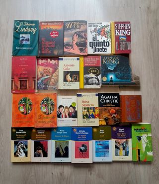 Lote 23 libros novelas x 15 €.