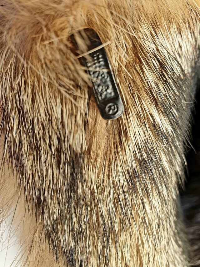 Abrigo largo Zorro Patagónico