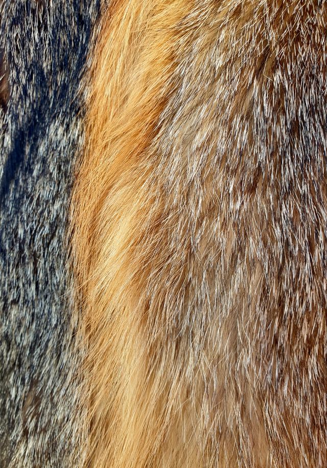 Abrigo largo Zorro Patagónico