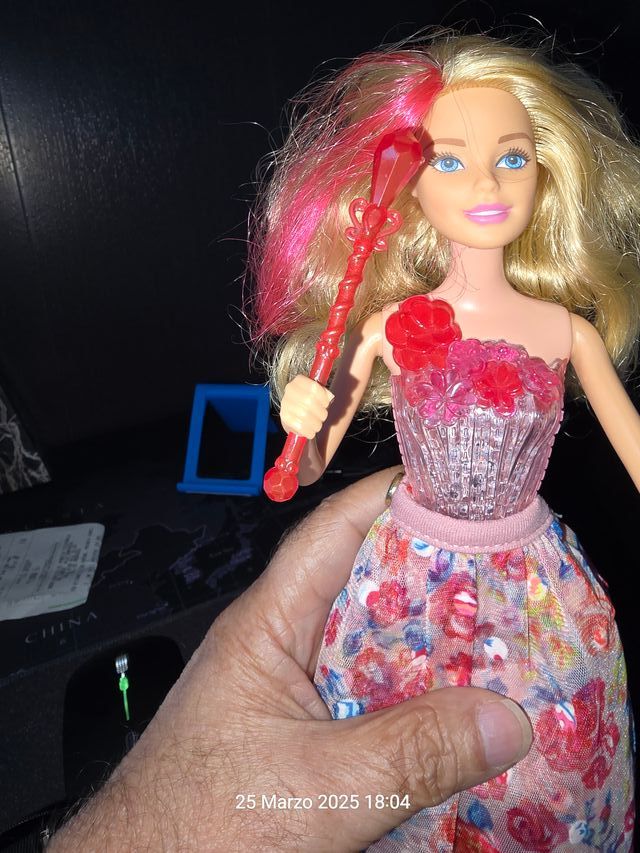 Barbie e la PORTA SEGRETA Principessa ALEXA Bambol