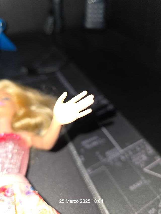 Barbie e la PORTA SEGRETA Principessa ALEXA Bambol