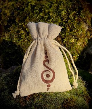 Pendientes plumas incrustados en abalon natural