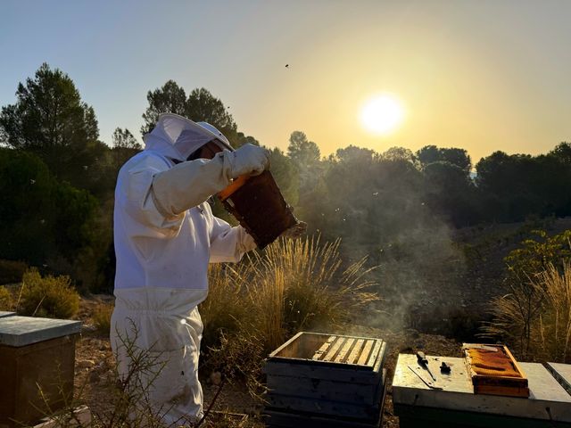 Retirada de Enjambres