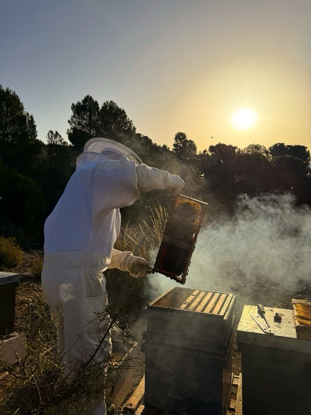 Retirada de Enjambres