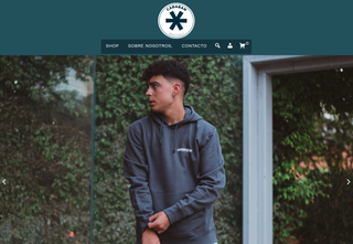 Diseño y desarrollo de paginas web